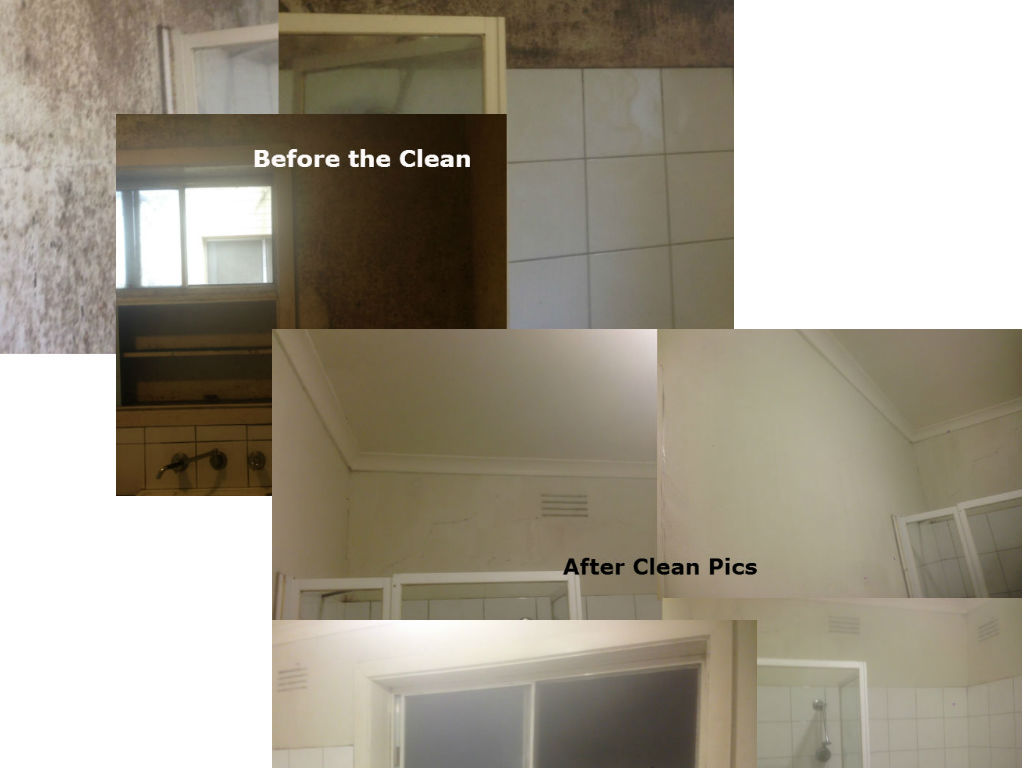 END OF LEASE CLEANING APARTMENT CLEANING IN MELBOURNE